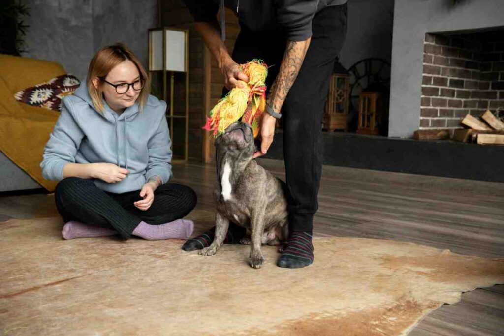 Do Landlords Have To Allow Emotional Support Animals