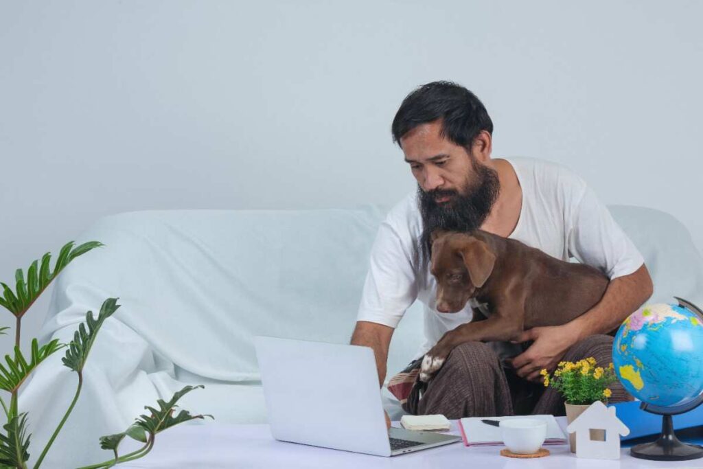 Is The Animal Rescue Site Legit? Real User Results