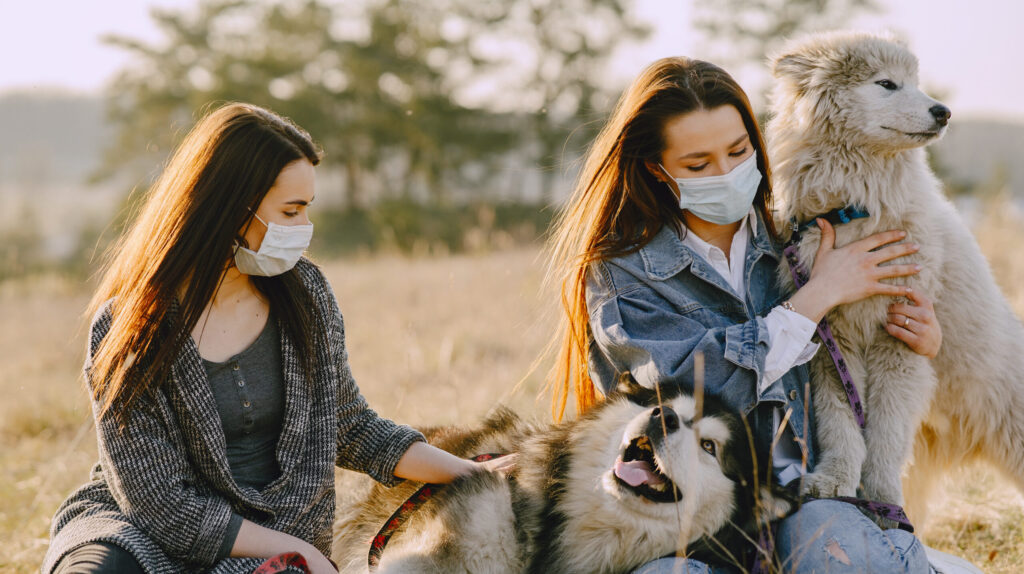 How To Start An Animal Rescue At Home: Step-by-Step